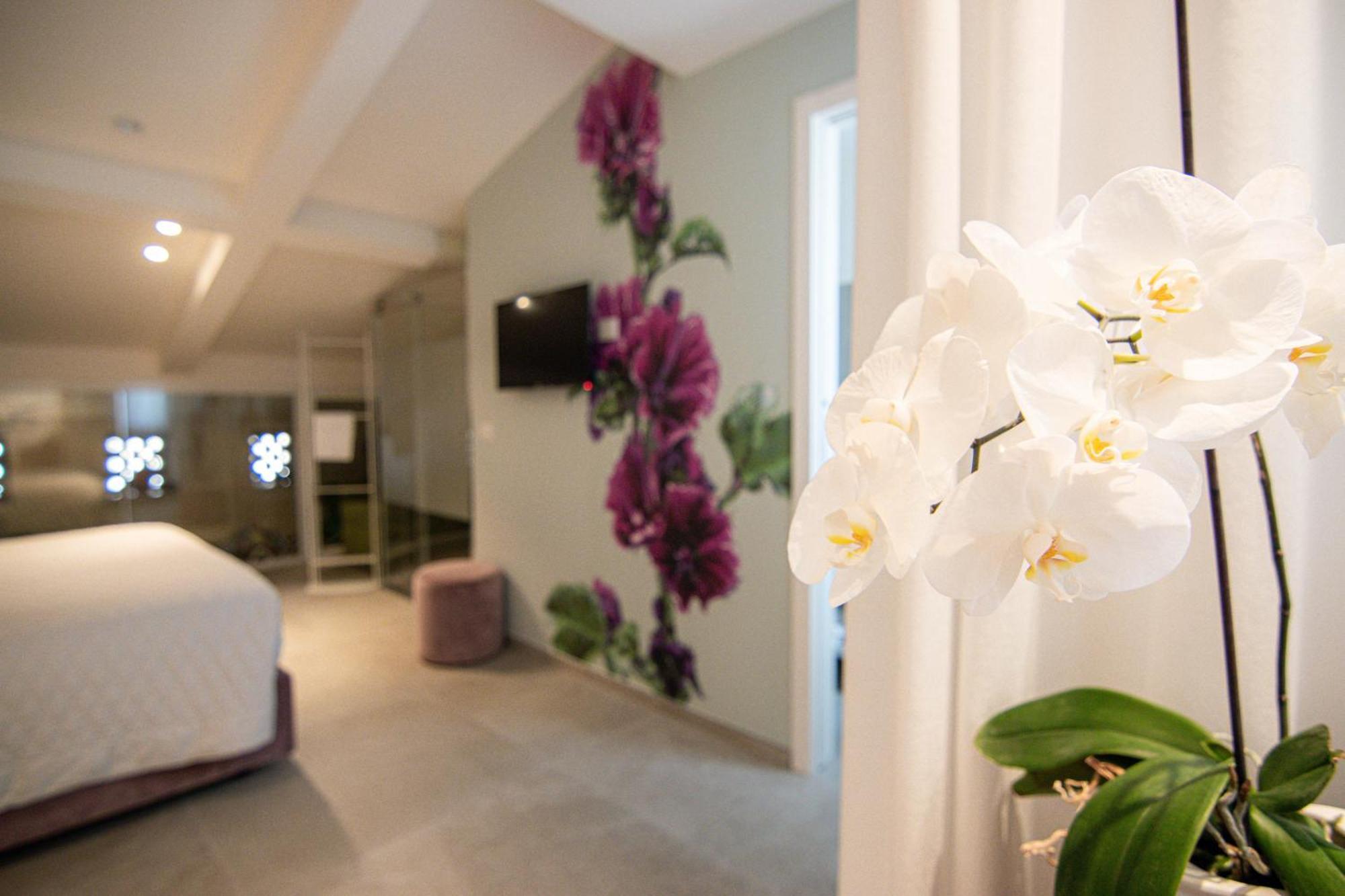 Profumi Di Primavera Luxury Rooms & Suite Matera Zewnętrze zdjęcie